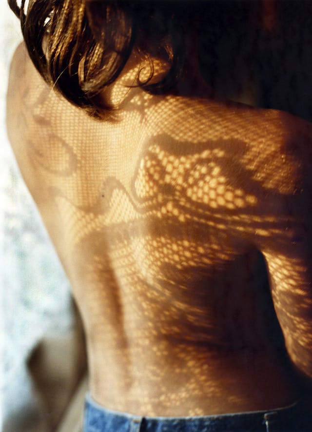 Some components of the triptychs worked as individual pictures but took on new meanings when juxtaposed with others.