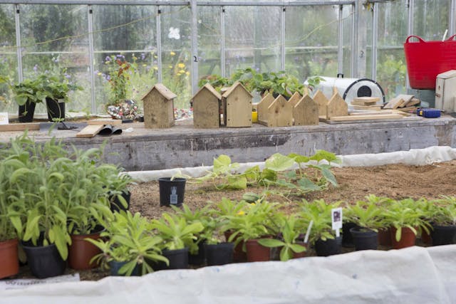 Livability - Johnson Banks