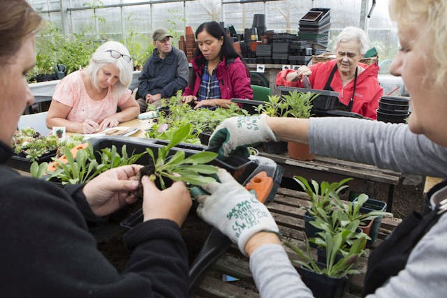 Livability - Johnson Banks