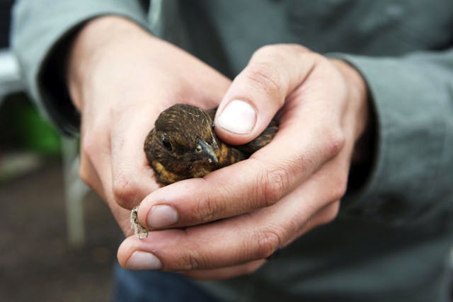 Livability - Johnson Banks